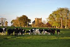 Killiane Castle Country House & Farm